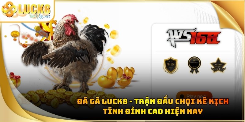 da-ga-luck8-ava